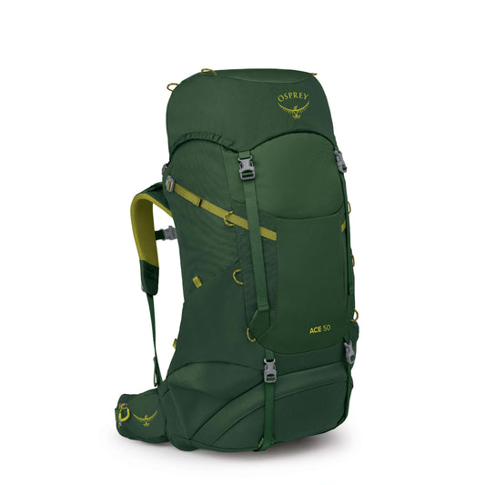 Osprey Ace 50 Youth Backpack (Green Canopy)