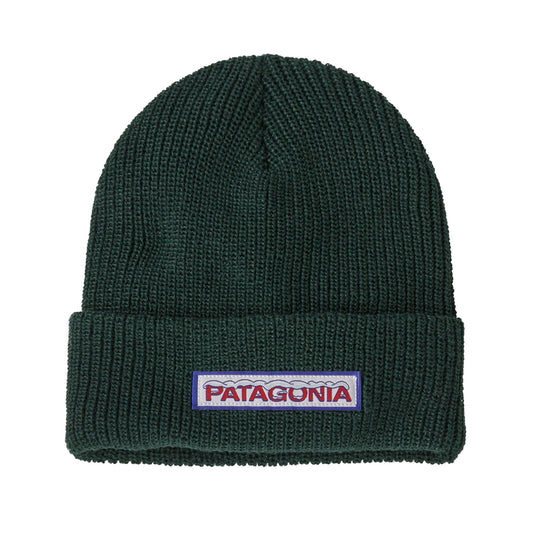 Patagonia Kids Logo Beanie (Conifer Green)