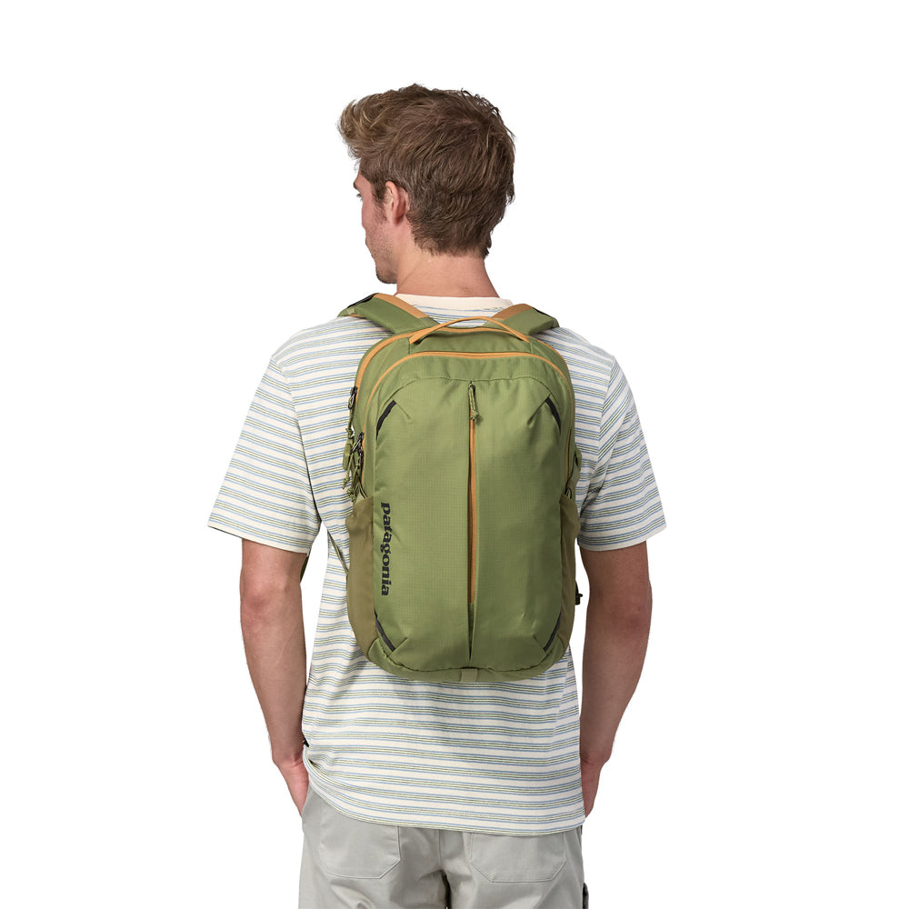 Patagonia Refugio Day Pack 26 L (Buckhorn Green)